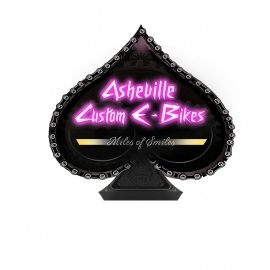 Asheville Custom Ebikes